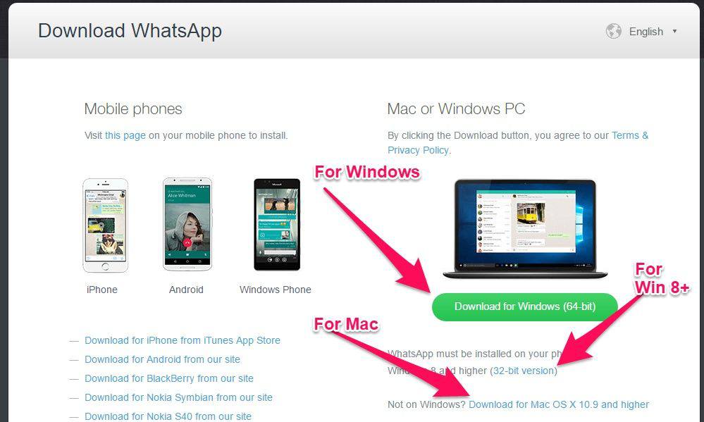 Download windows for mac